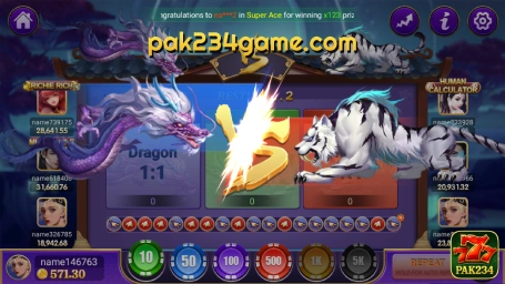 Dragon Tiger Fight game interface inside the PAK234 app
